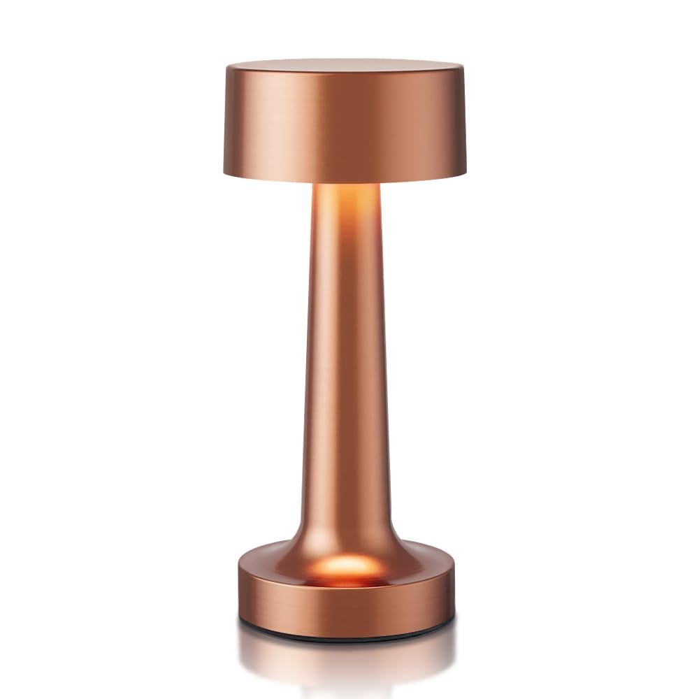 HPUFKOT Portable LED Table Lamp, 3-Levels Brightness Metal Desk Lamp,3 Color Touch Control Rechargeable Lamp, Ideal Bedside lamp