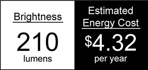 Royal Designs Clear Glass Incandescent Light Bulbs, E26 Medium Brass Base, 15W, Set of 16, Model LB-5011-16