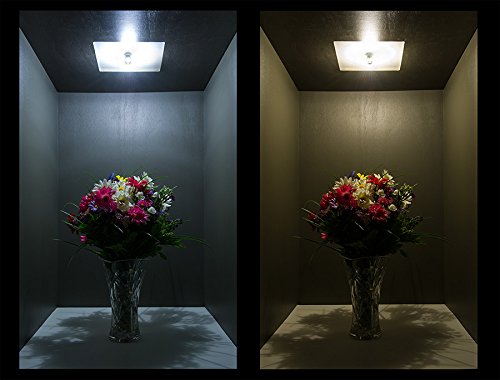 Cbconcept - 10 Bulbs - 110V - 120V Ac 20 Watts, Clear Jcd G9 + Ceramic Base Looped Pin 20W Halogen Light Bulb, For Accent Lighting, Chandelier, Puck Light, Range, Rv, Landscape - Designed In Ca