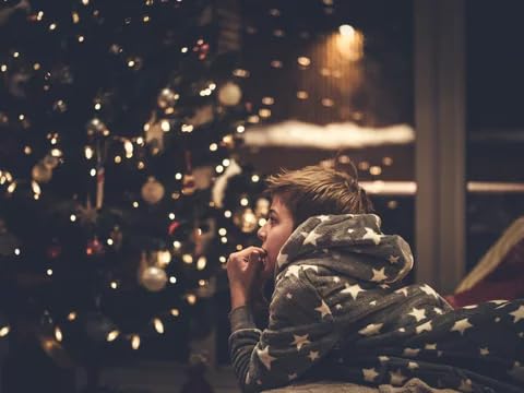 broulove LED Christmas Lights 100 Count, String Lights for Outdoor & Indoor, Commercial Grade, White Wire, Warm White Light, 6 i