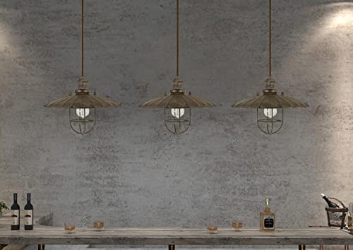 Cal Lighting Fx-3725-1P Transitional One Light Pendant From Olive Collection In Bronze/Dark Finish, 13.50 Inches, Rust