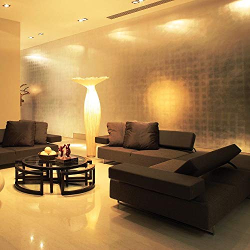 Explux Commercial-Grade LED PAR30 Flood Light Bulbs, Dimmable, 2700K Soft White, 6-Pack, 75W Equivalent, Glass Material