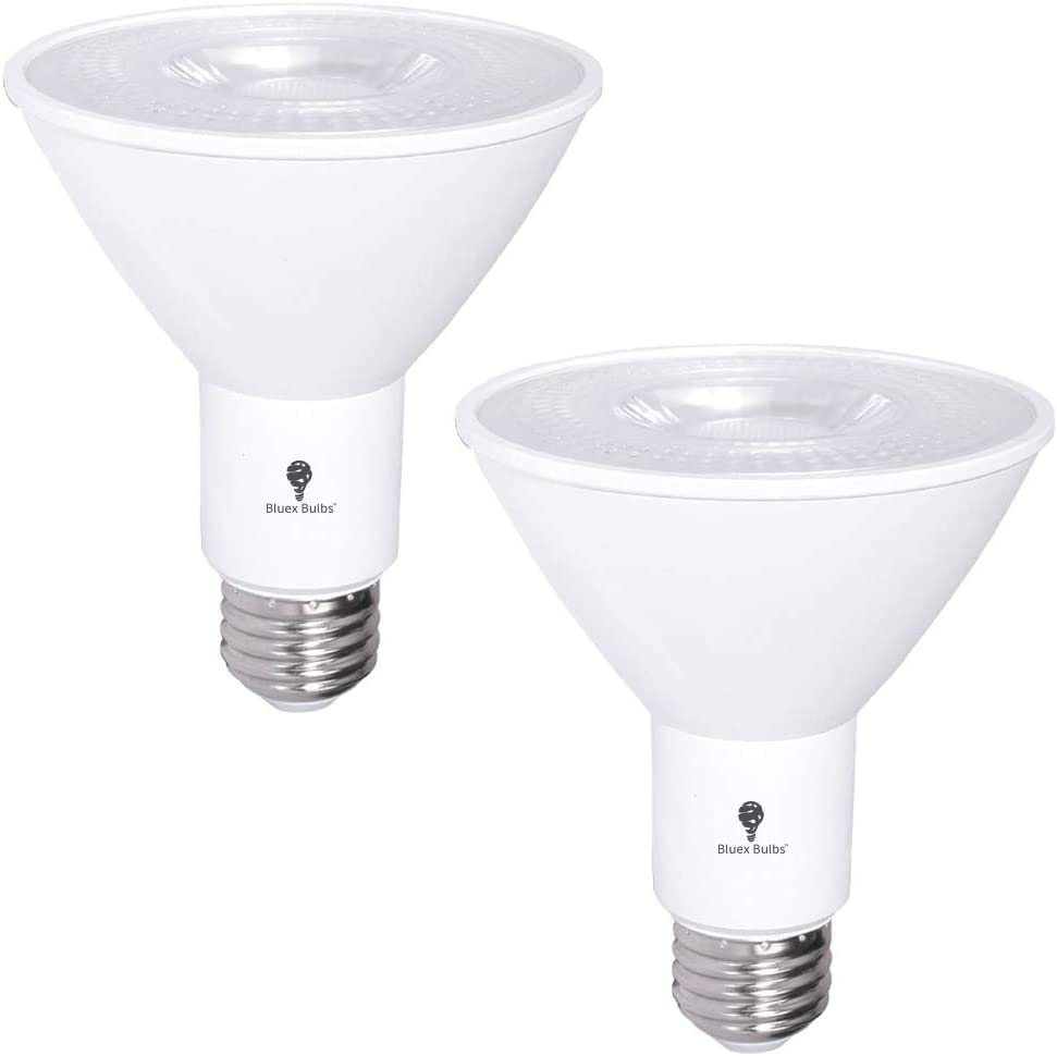 2 Pack Par30 Outdoor Led Flood Light Bulb 12W 100 Watt Equivalent 900 Lumens Dimmable Waterproof E26 4000K Cool White Led Flood 