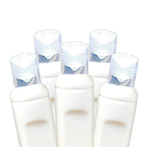 Novelty Lights, Inc. Bat20 Led Battery Operated Christmas Mini Light String Set, Green Wire, 20 Light, 8' Long