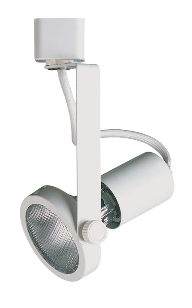 Line Voltage Fixture, Par 20