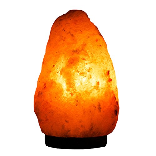 Evolution Salt Himalayan Natural Cystal Salt Lamp