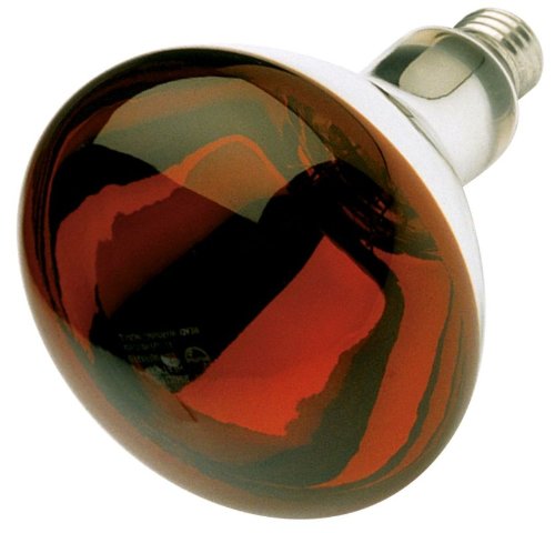 Satco 250 Watt Infrared Weather Proof Lamp Bulb, Medium Base, 6 Count, Red Heat, Model S4998