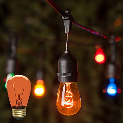 Xtricity Incandescent S14 Edison Light Bulb, Amber Glass, E26 Medium Base, 130V, 12 Pack