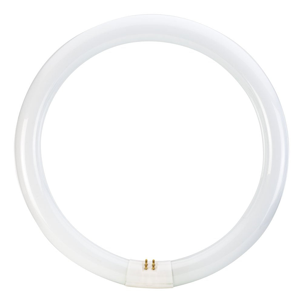 Philips Circline Fluorescent T9 Light Bulb 32W 12-Inch Bi-Pin Base Cool White Model 391177