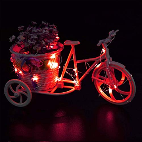 VOOKRY 30 LED Fairy Lights - Battery Operated String Lights, 10 ft Red Mini Copper Wire, Waterproof for Crafts & Decor