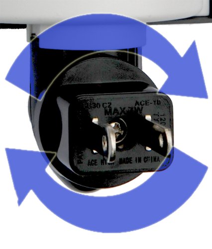 Led Night Light, Tropical Bliss, Palm Tree, Tropical