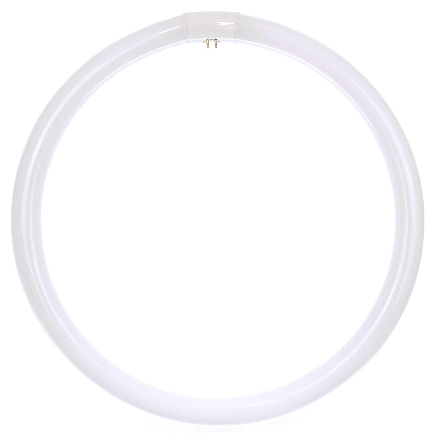 Sunlite FC16T9/CW T9 Round Fluorescent Circline Lamp, 40W, 2600 Lumens, 4100K Cool White, G10Q 4-P