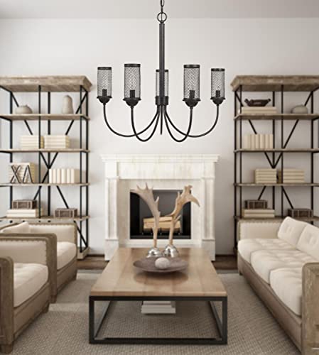 Cal Fulton Metal Chandelier, Textured Bronze, 26.5 x 26.5 x 24 inches, Model FX-3715-5, Mesh Metal Shade