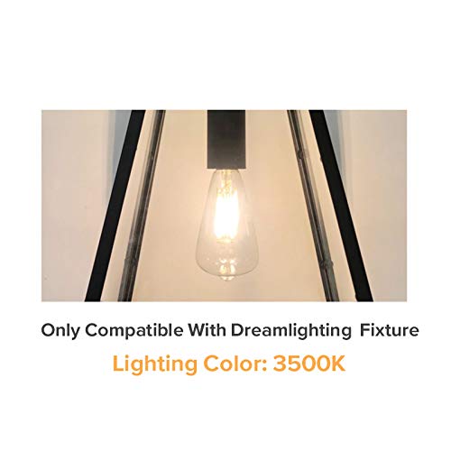 Dream Lighting LED Edison Bulb, 3W, 150 Lumens, Neutral White 3500K, Pack of 2, Copper Material