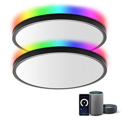 TALOYA 2 Pack Black Smart Ceiling Light Flush Mount LED WiFi, Compatible with Alexa Google Home, Dimmable Low Profile Ambient Li