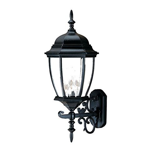 Acclaim 3-Light Outdoor Wall Mount Light Fixture, Matte Black, 9.25 x 24, Glass, Model 5013BK