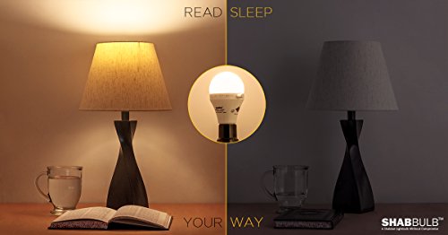 Sunlite ShabBulb LED Light Bulb, 7W (40W Equivalent), 3000K Warm White, Aluminum, 1 Pack
