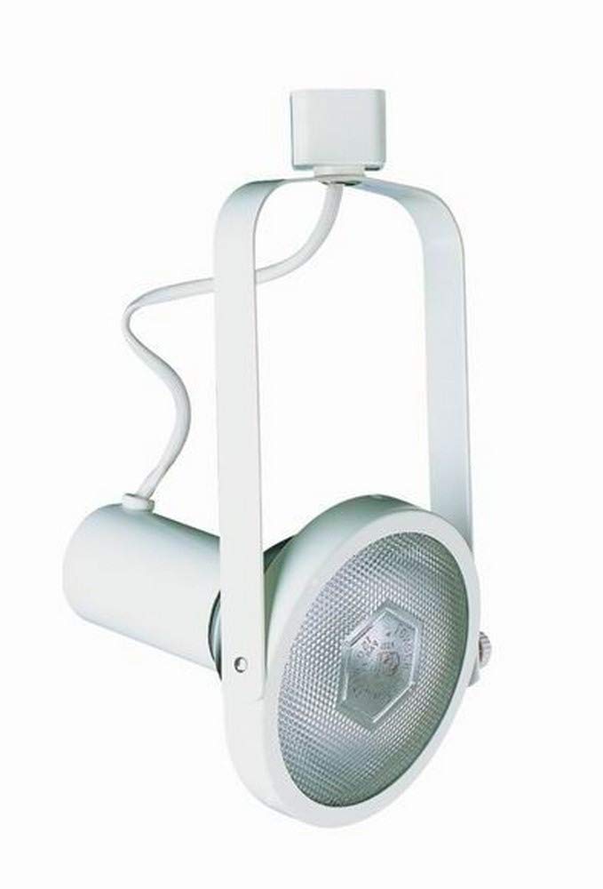 Cal Lighting Jt-241-Wh Line Voltage Fixture,Par 30, 2 Wire