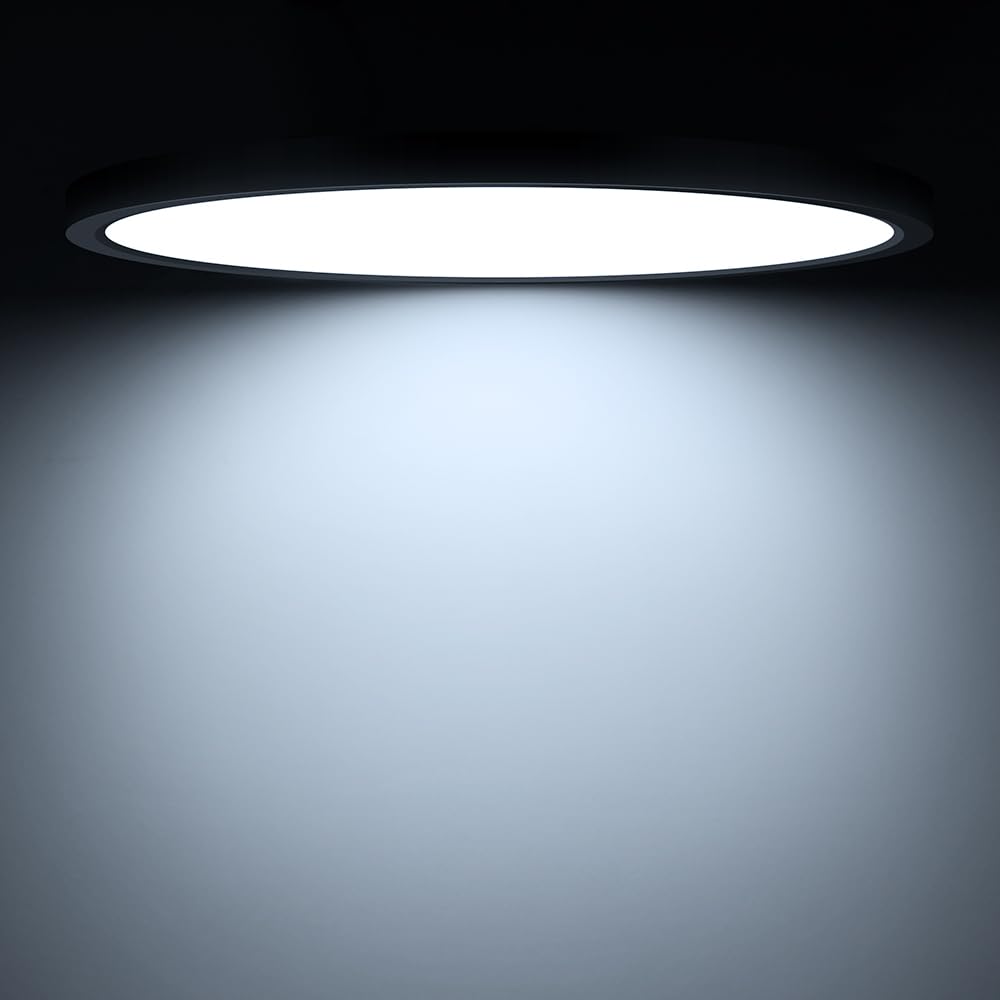 Ledlightsworld 12 24W Cold White Led Ceiling Light, Slim Black Flush Mount, 3200Lm, Model Lm-Xdd-Us-24W-Cw-1P-B