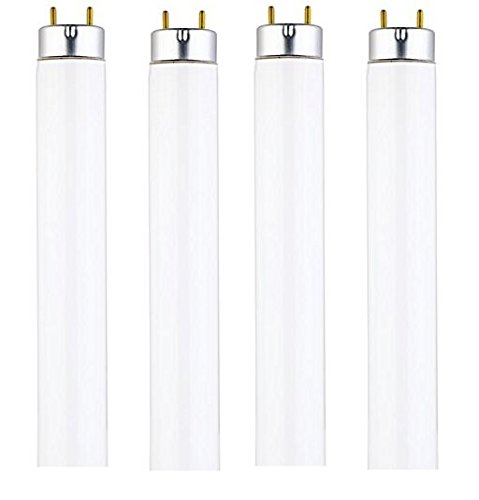 DYSMIO Lighting F15T8CW 15Watt 18inch 4100K 825 Lumen Medium BiPin Base T8 Fluorescent Straight Tube Bulb with Cool White Li