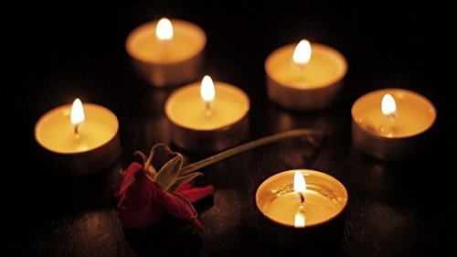 Zion Judaica Tealight Candles Set of 200, 4 Hour Burn Time, Unscented, White