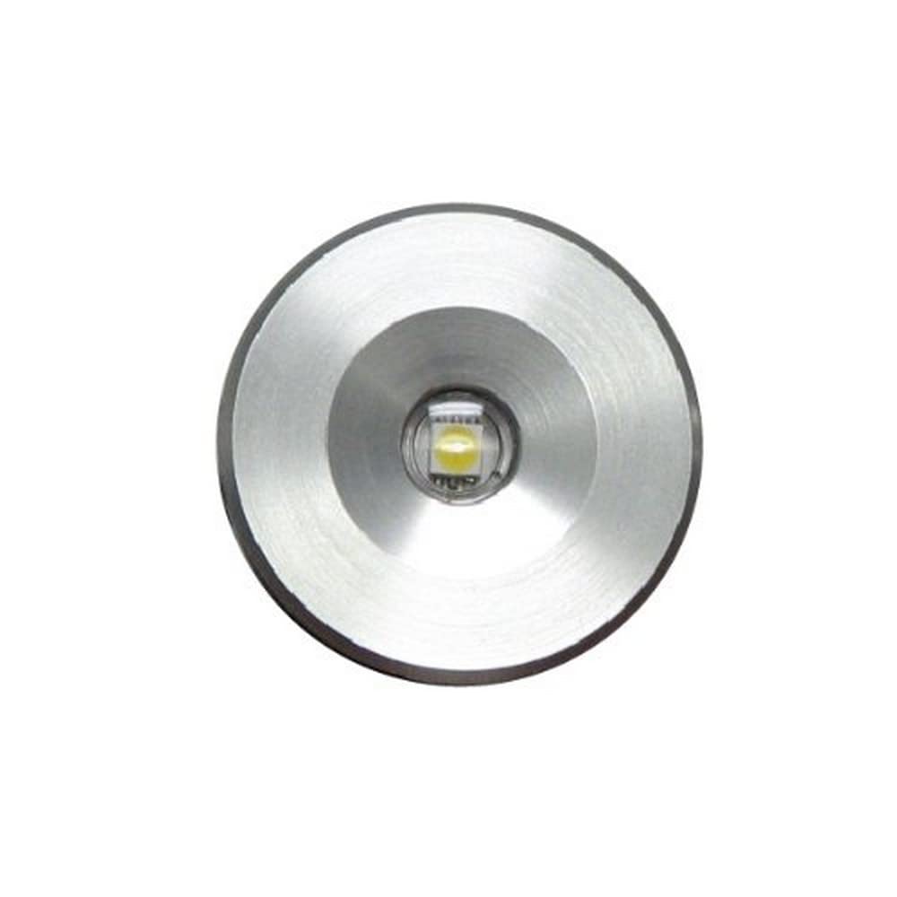 Lumitec 112203, Echo Courtesy / Accent Light, Brushed Housing, White