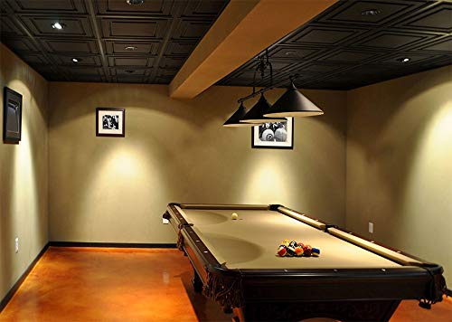 Ceilume Ceiling Tiles - Ultra-Thin Feather-Light, Vinyl, 2x4 ft, Black, 12 Tiles