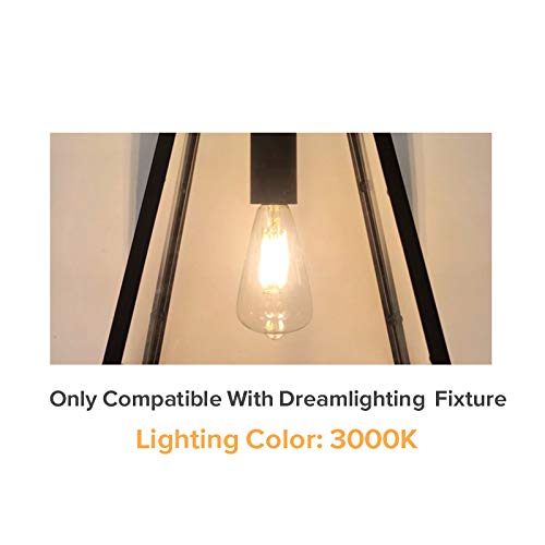 Dream lighting LED Edison Bulb, 3W 150 Lumens, Warm White 3000K, Pack of 2, Copper