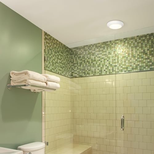 Westinghouse 6134000 Makira Traditional One-Light, 7.5 Inch 16 Watt Dimmable Led Indoor/Outdoor Surface Mount Fixture With Color