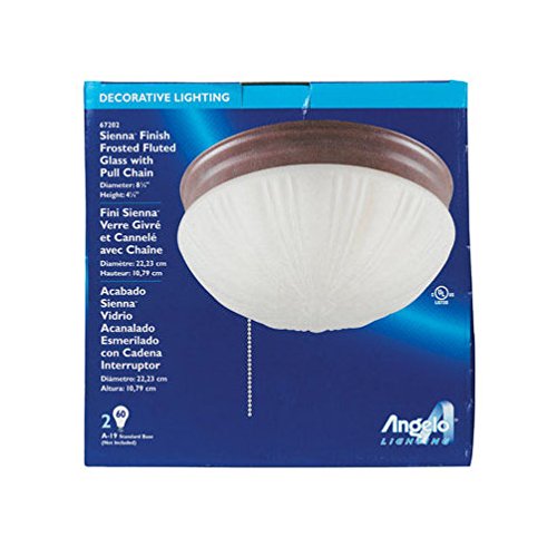 Westinghouse 41/4 in. H x 83/4 in. W x 8.75 in. L Ceiling Light