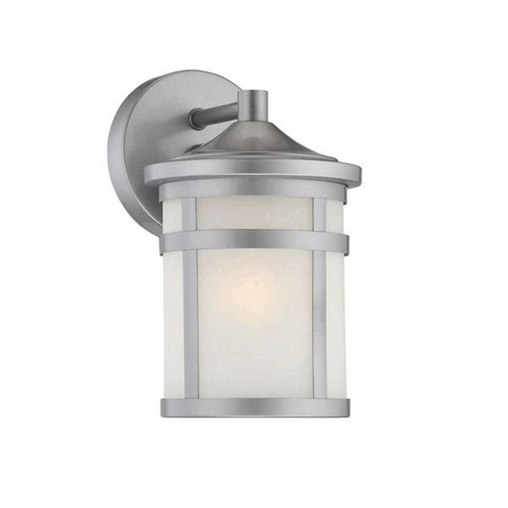 Acclaim 4714Bs Visage Collection 1-Light Wall Mount Outdoor Light Fixture, Brushed Silver