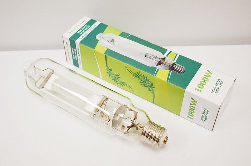 DL Wholesale Interlux Metal Halide Grow Lamp 1000W - Blue Metal