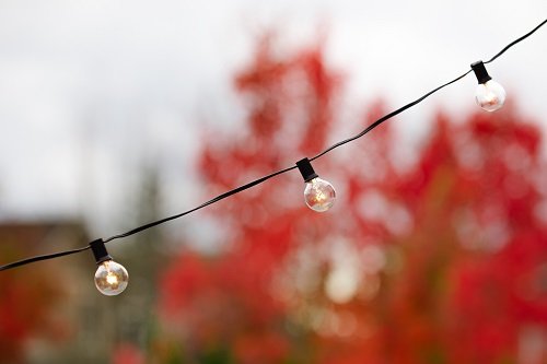Radiance G40 Globe Lights, 25 ft Black Wire, Clear Glass Bulbs, Model RAD-0001