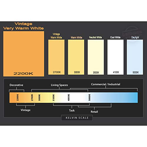 Satco S2423 60W 120V Vintage Style St19 Incandescent Bulb, 6-Pack Of 60 Watt Edison Style Light Bulbs For Use In Your Home, Office, Vanity, Or Any Other Vintage Light Inspired Space In Your Household