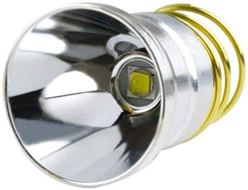 Souyos Ultra Bright L2 LED Bulb 2000 Lumen Drop-in P60 Module, Aluminum, 1 Count