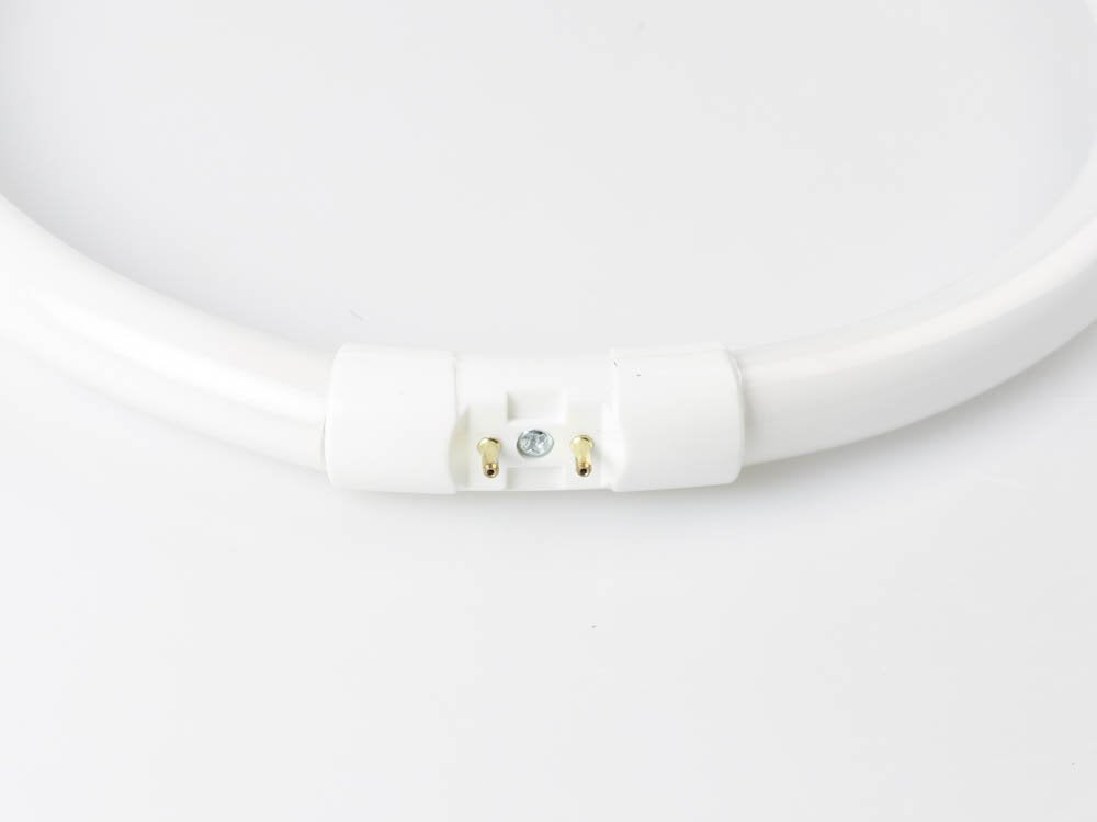 Satco 22 Watt, 9'' Diameter Neutral White T5 Circline Bulb