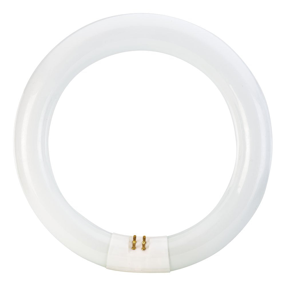 Philips Circline Fluorescent Light, 22W, 8-Inch, T9, Bright White, Glass, Model 392225, 1 Count