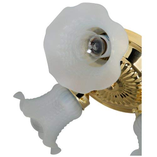 Boston Harbor Dimmable Ceiling Light Fixture, 3x60W A19/CFL, Metal, White, Model F6BB03-22013L