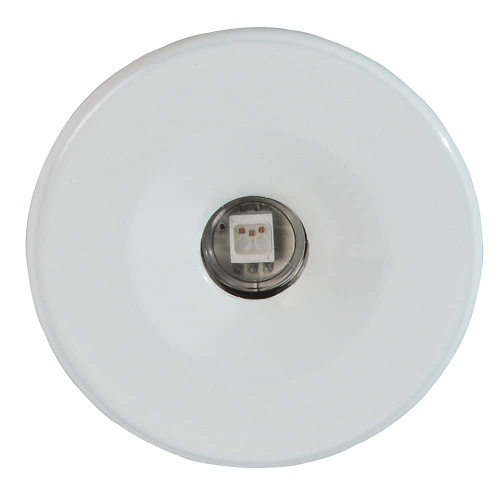 Lumitec 112223. Echo Courtesy / Accent Light, White Housing, White
