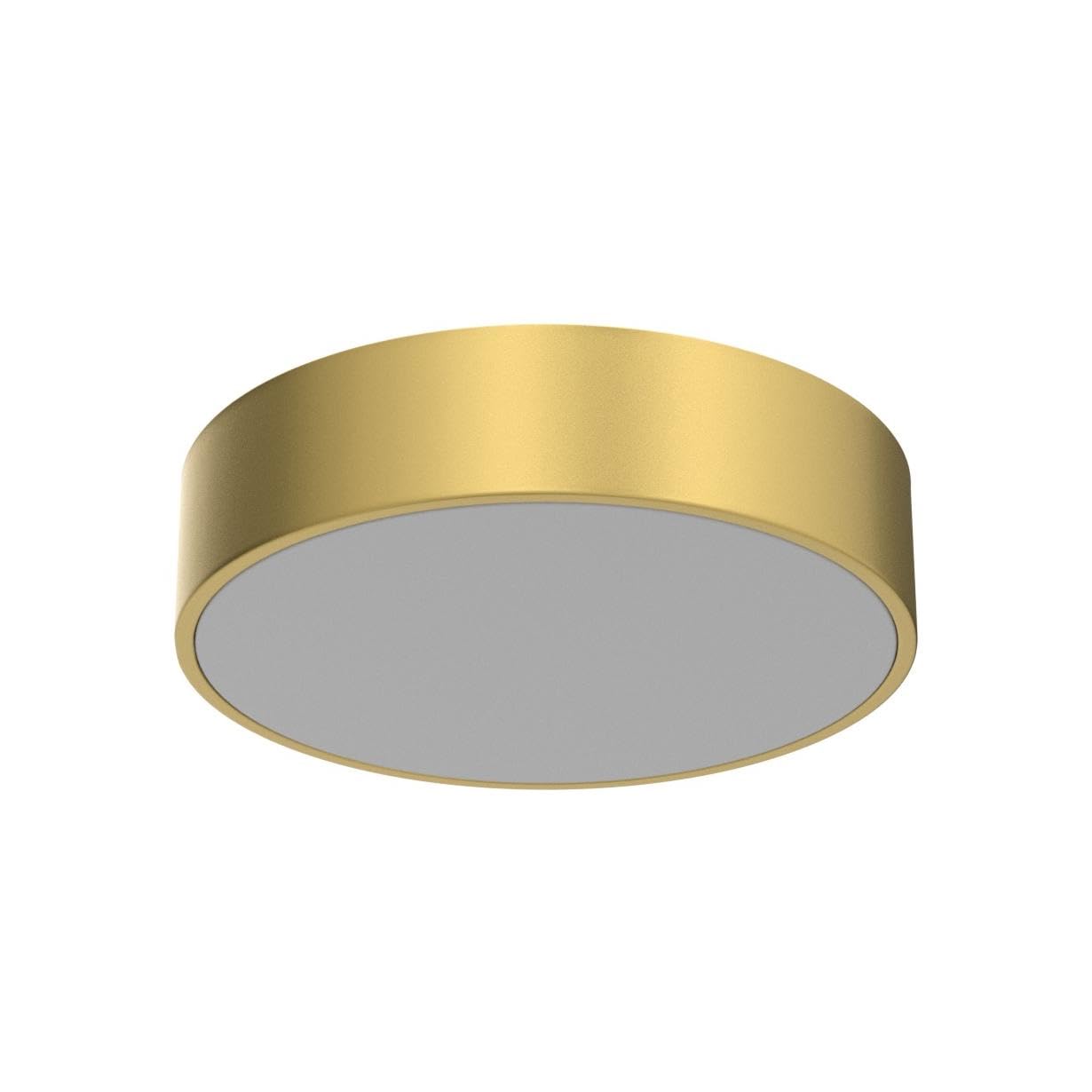 POLITAMP Modern Gold Flush Mount Ceiling Light, 2-Light Acrylic Shade, 11.8", Contemporary Design for Hallway, Foyer, Kitchen