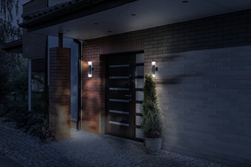 BAZZ Luvia LED Outdoor Wall Fixture, 13-in, Stainless Steel, Rust Proof, Energy Efficient, Model W16639SS
