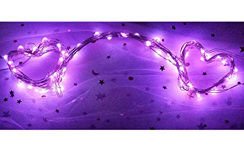NiniTe LIGHTS 24 Pack Battery Operated Fairy Lights, 6.6ft, 20 LED, Copper Wire, Purple, Model 20cell-24p, for Wedding Party Decor
