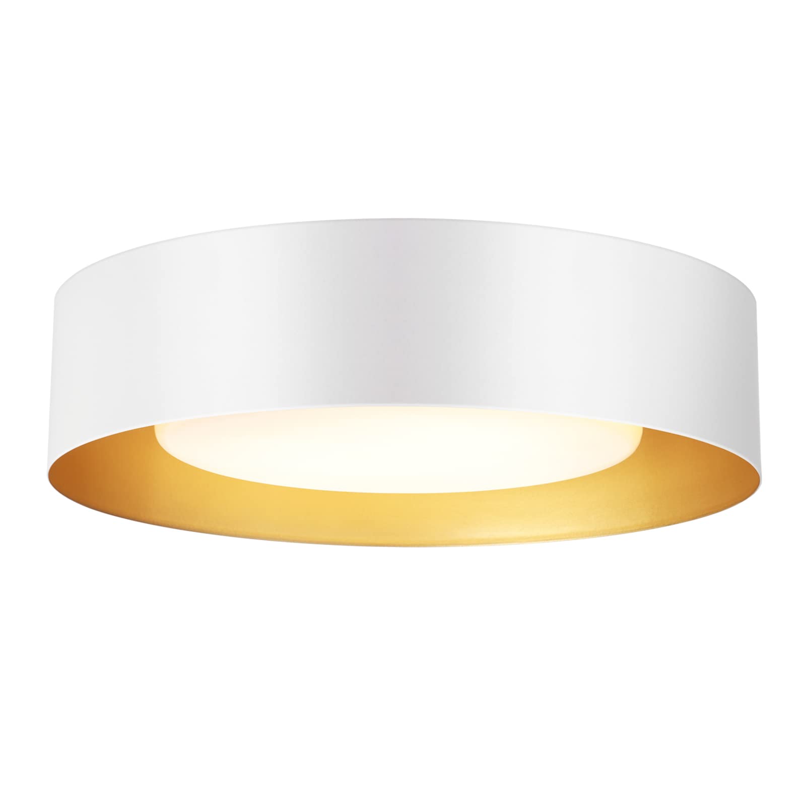 Goomavi Modern Flush Mount Ceiling Lights,Minimalist 16.5IN Round Close to Ceiling Light Fixtures,White and Gold Metal Ceiling L