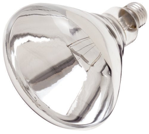 Satco S4885 120V 250W R40 Shatterproof Heat Lamp, Incandescent, Clear - 2 Pack
