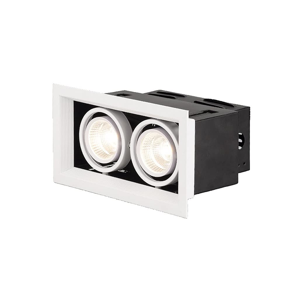 Outdoor Lights 2*10W/20W/30W LED Recessed Light Fixtures