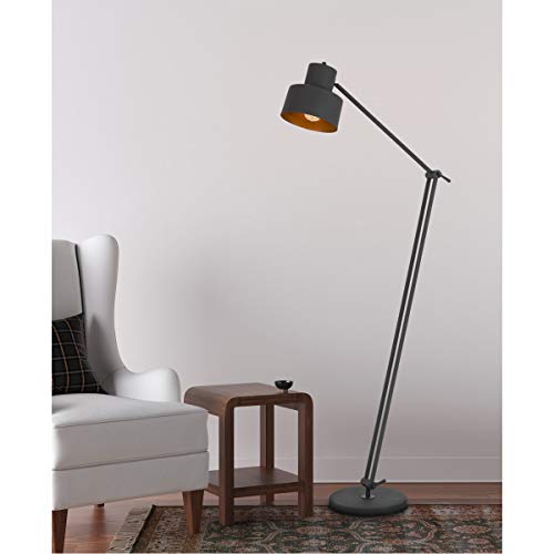 Cal 60W Metal Floor Lamp, Adjustable Arms, Black, 65inx24inx11in, Model BO-2966FL