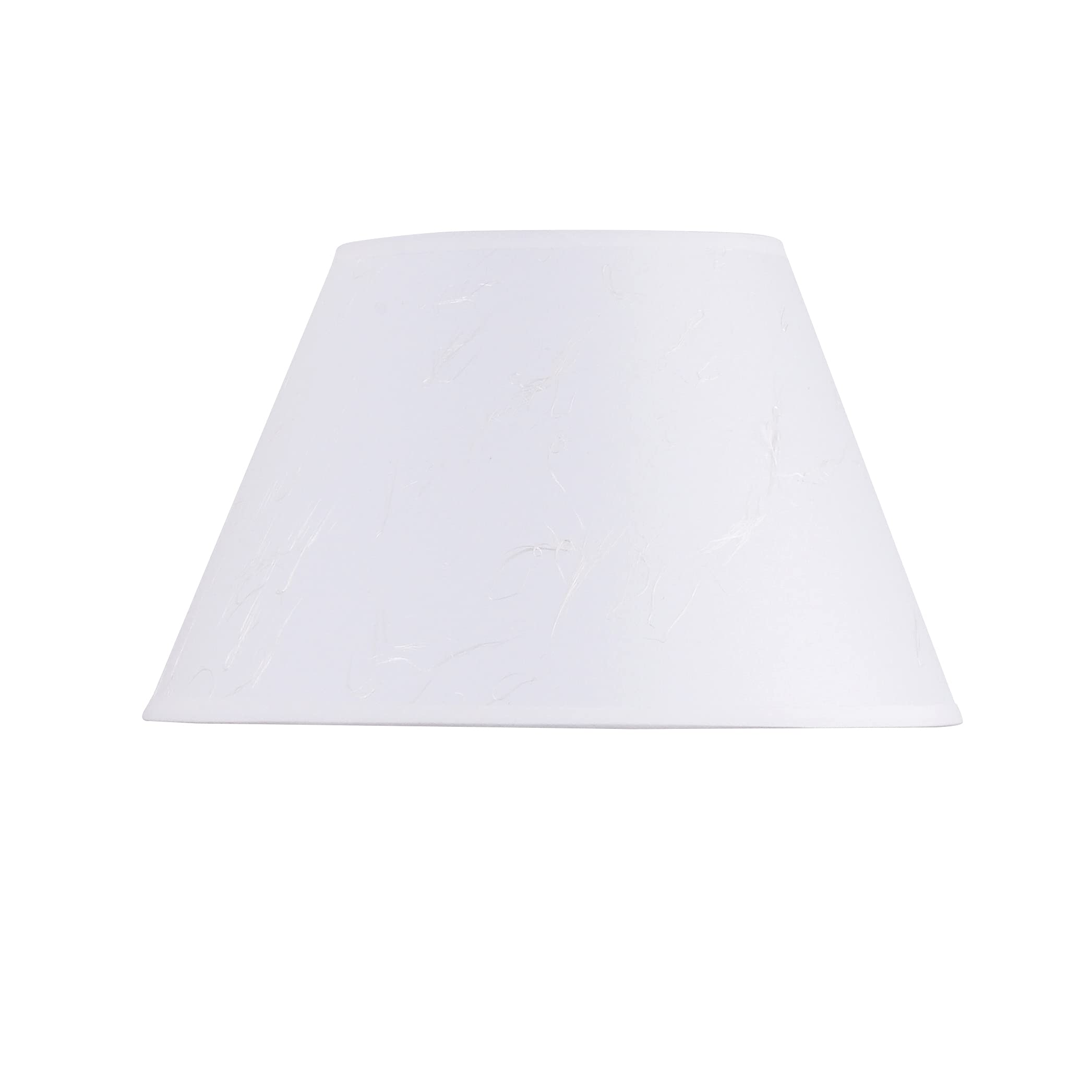 Kenroy Home Wall Swing Arm Light, Medium, Brushed Steel, Model 30110BS, Alloy Steel Construction