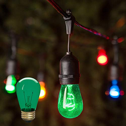 Xtricity Incandescent S14 Edison Light Bulb, E26 Medium Base, Glass, 130V, Green, 12 Count