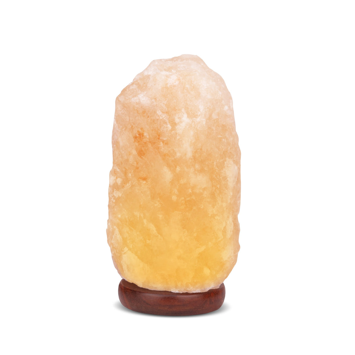 6'' Brown Solid Wood Standard USB Table Lamp