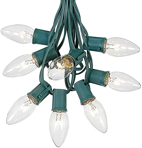 Home Accents Holiday C9 Clear Transparent Christmas Lights Set, 25-Count, Indoor/Outdoor, Green Stringer Wire, Model 351-552
